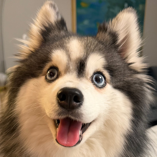 Mala